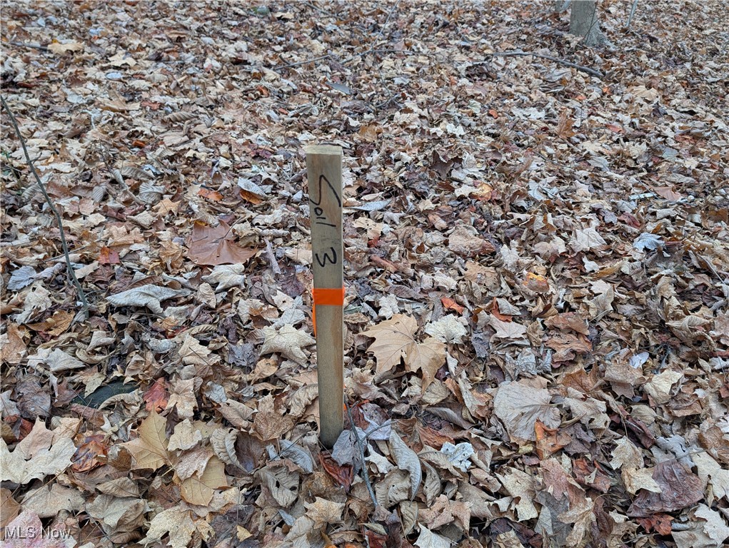 Chardon Township - Land