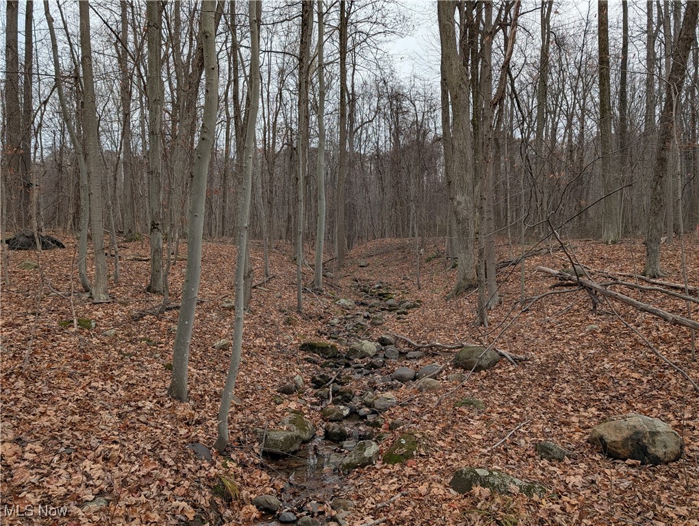 Chardon Township - Land