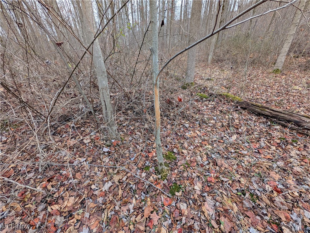 Chardon Township - Land