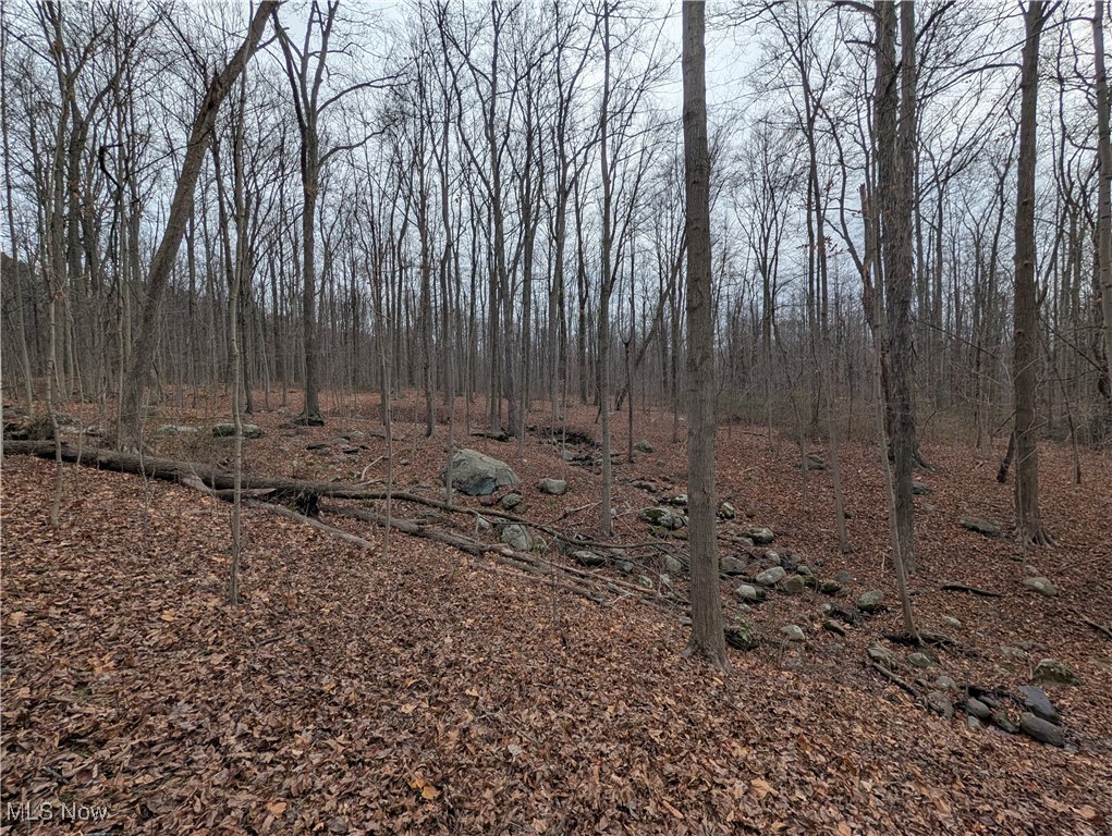 Chardon Township - Land