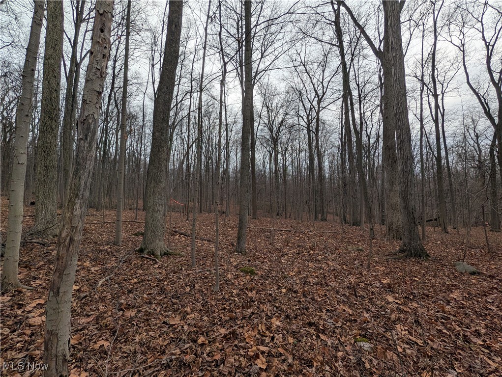 Chardon Township - Land