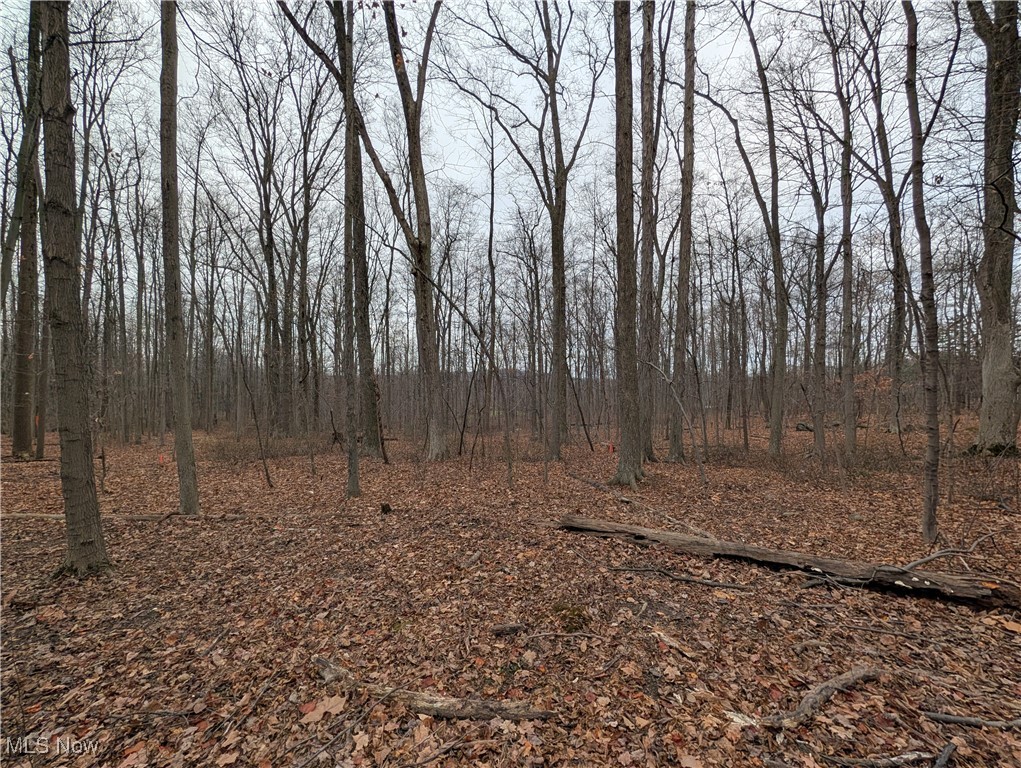 Chardon Township - Land