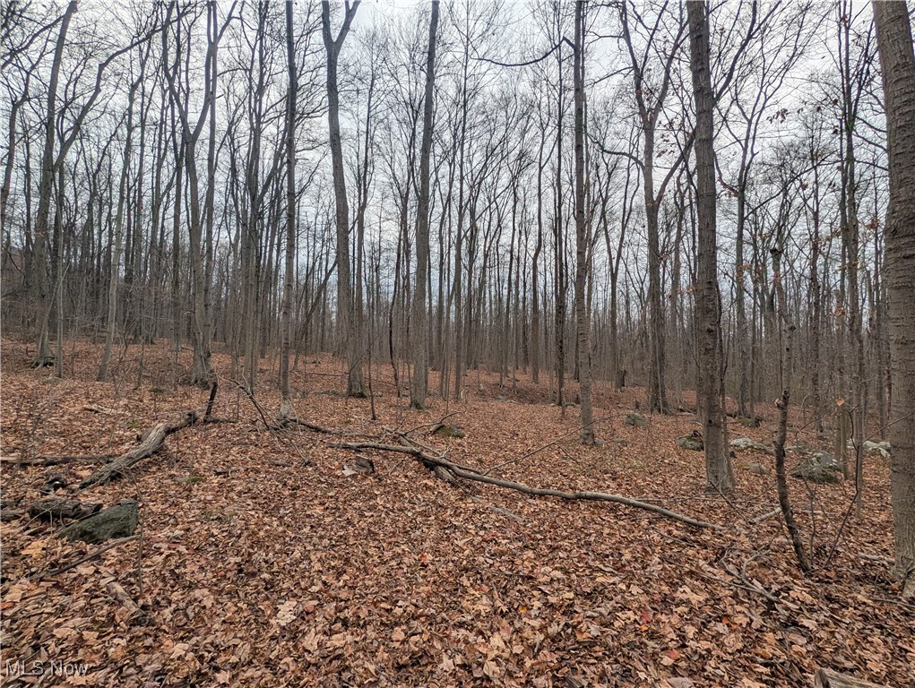 Chardon Township - Land