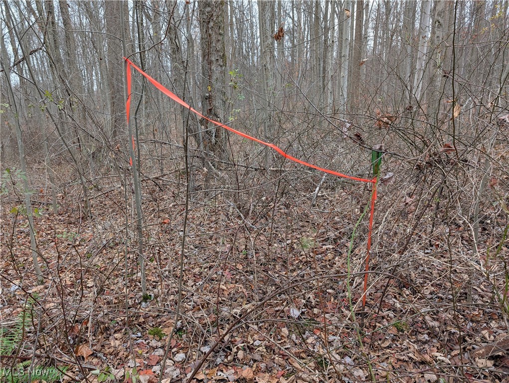 Chardon Township - Land