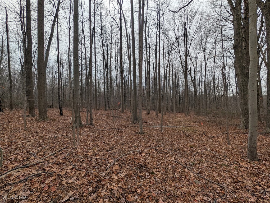 Chardon Township - Land