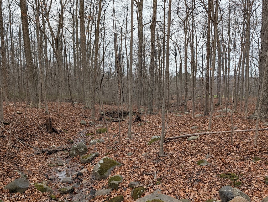 Chardon Township - Land