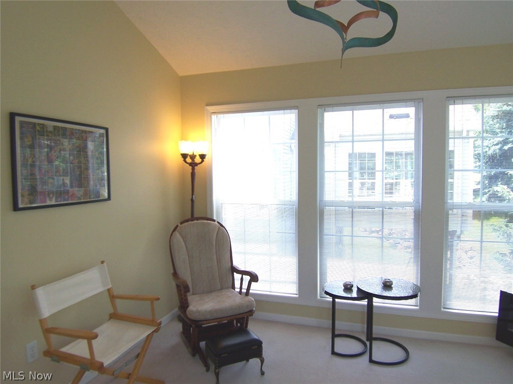 Woodbury Condo - Residential