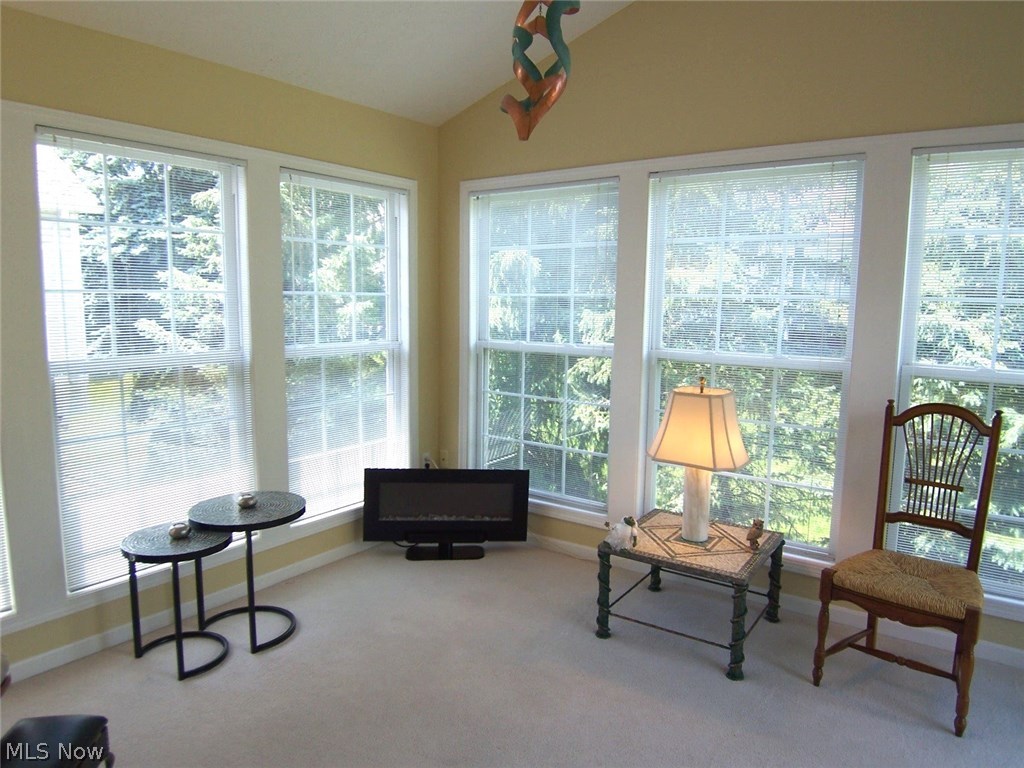 Woodbury Condo - Residential