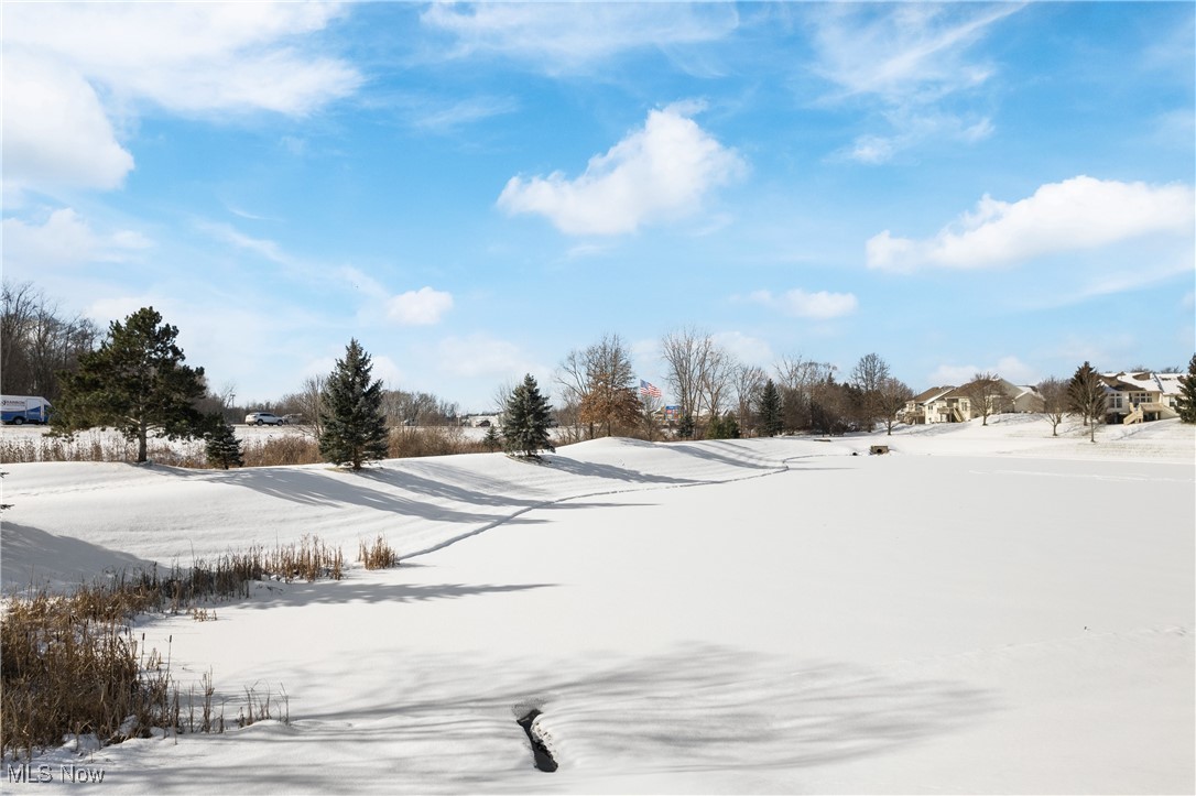 2834 Caxton Circle, Akron, Ohio image 32