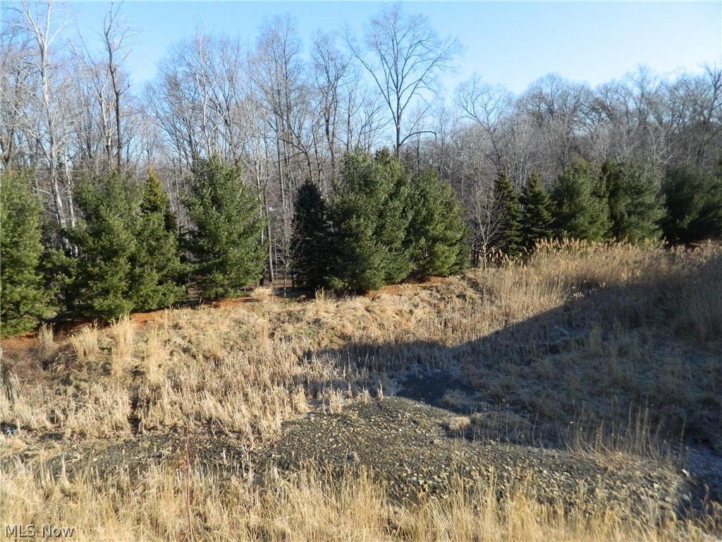 Regency Hlnds Condo - Residential