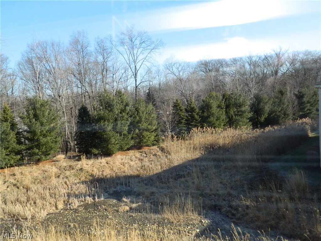 Regency Hlnds Condo - Residential