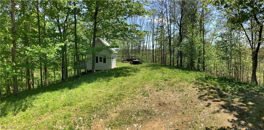 Beautiful little property with a small cabin on 5 acres. If your looking for alittle get-away this is it. This property has some amazing views sitting on a hilltop and not far from I 77 making it easy to commute back-and-forth.