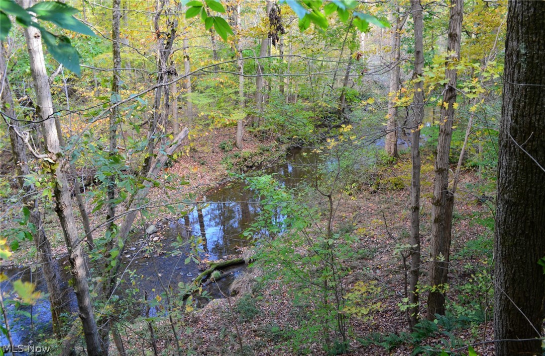 Parcel B 64.41 gorgeous acres adjoins the 902 acre “West Woods” of the Geauga Park District. The property is mostly wooded land with ravines and view potential. Slopes east to a lovely large year round stream that flows towards Silver Creek.