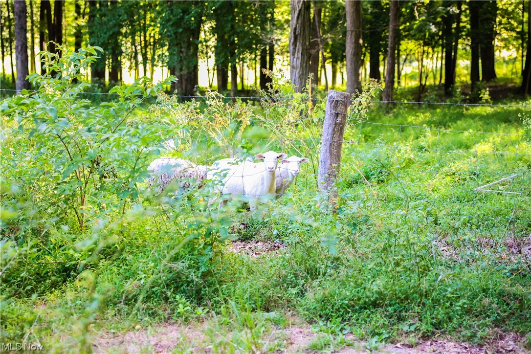 United States Military Lands - Residential