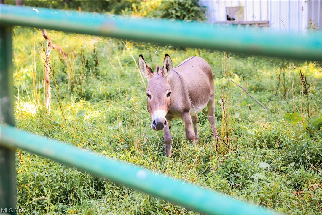 United States Military Lands - Residential