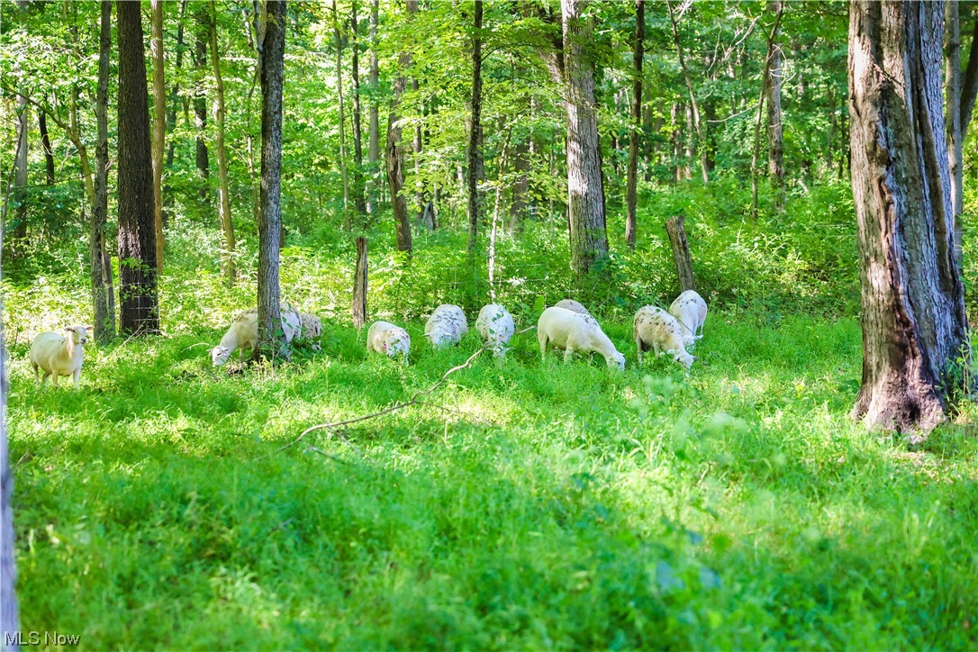 United States Military Lands - Residential