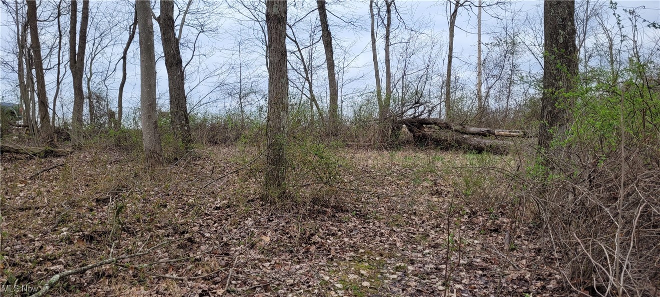 Bethel Road, Newcomerstown, Ohio image 11