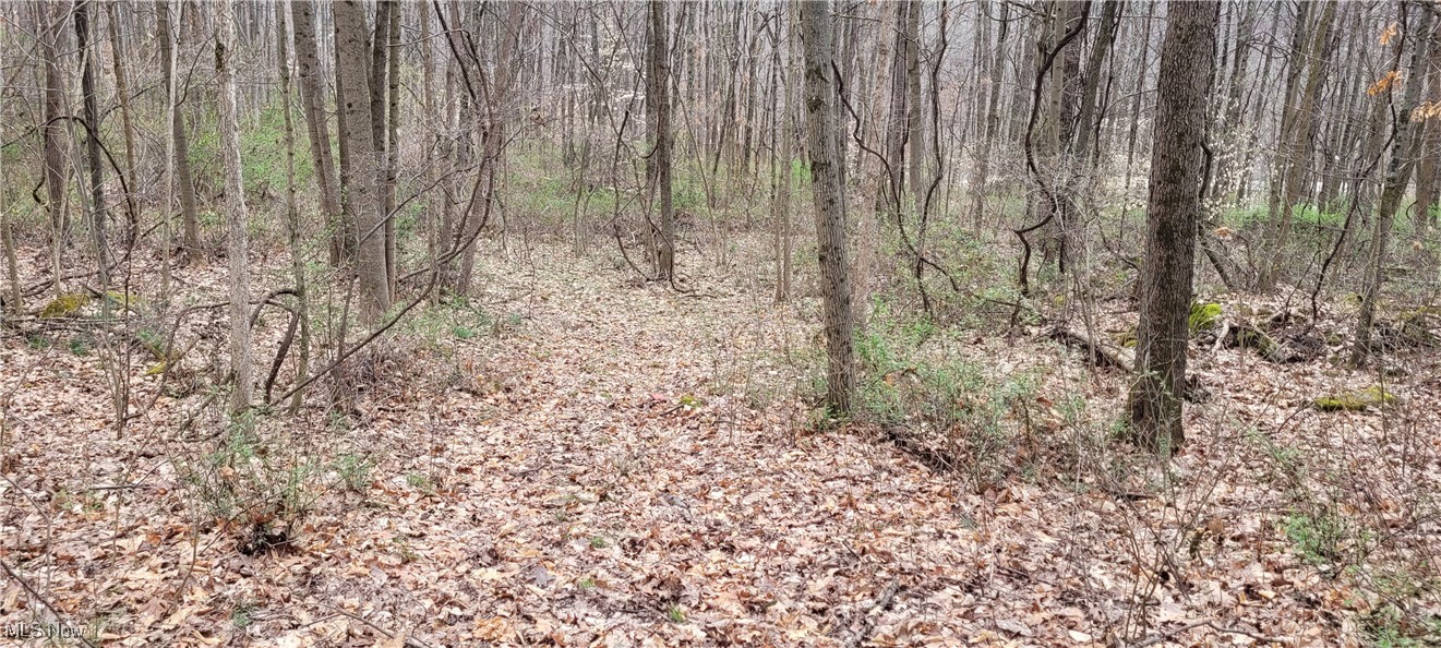 Bethel Road, Newcomerstown, Ohio image 16