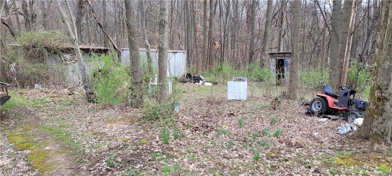 Bethel Road, Newcomerstown, Ohio image 10