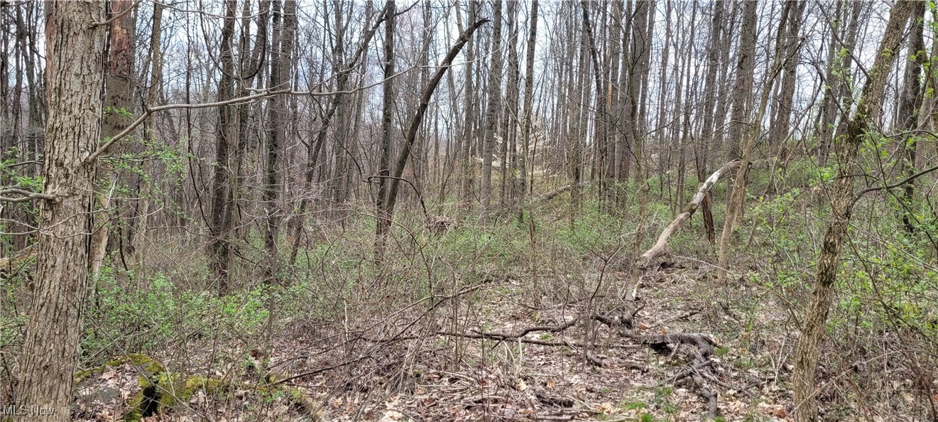 Bethel Road, Newcomerstown, Ohio image 14