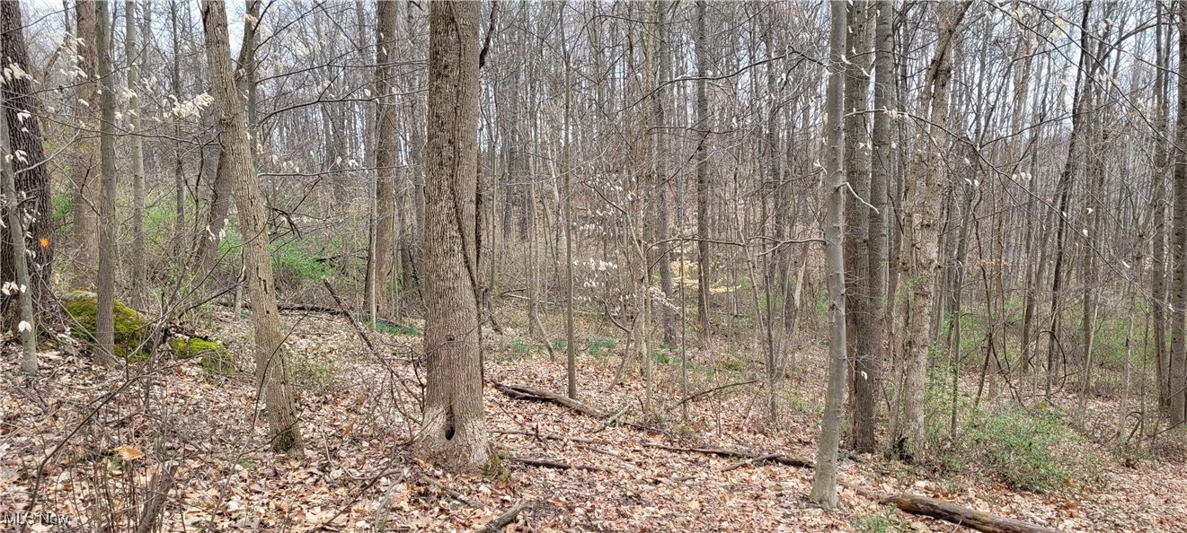 Bethel Road, Newcomerstown, Ohio image 15