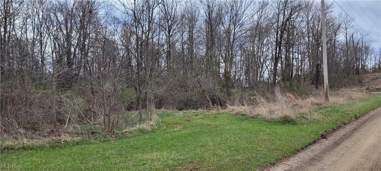 Bethel Road, Newcomerstown, Ohio image 2