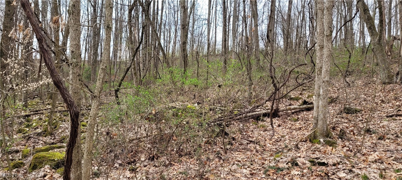 Bethel Road, Newcomerstown, Ohio image 21