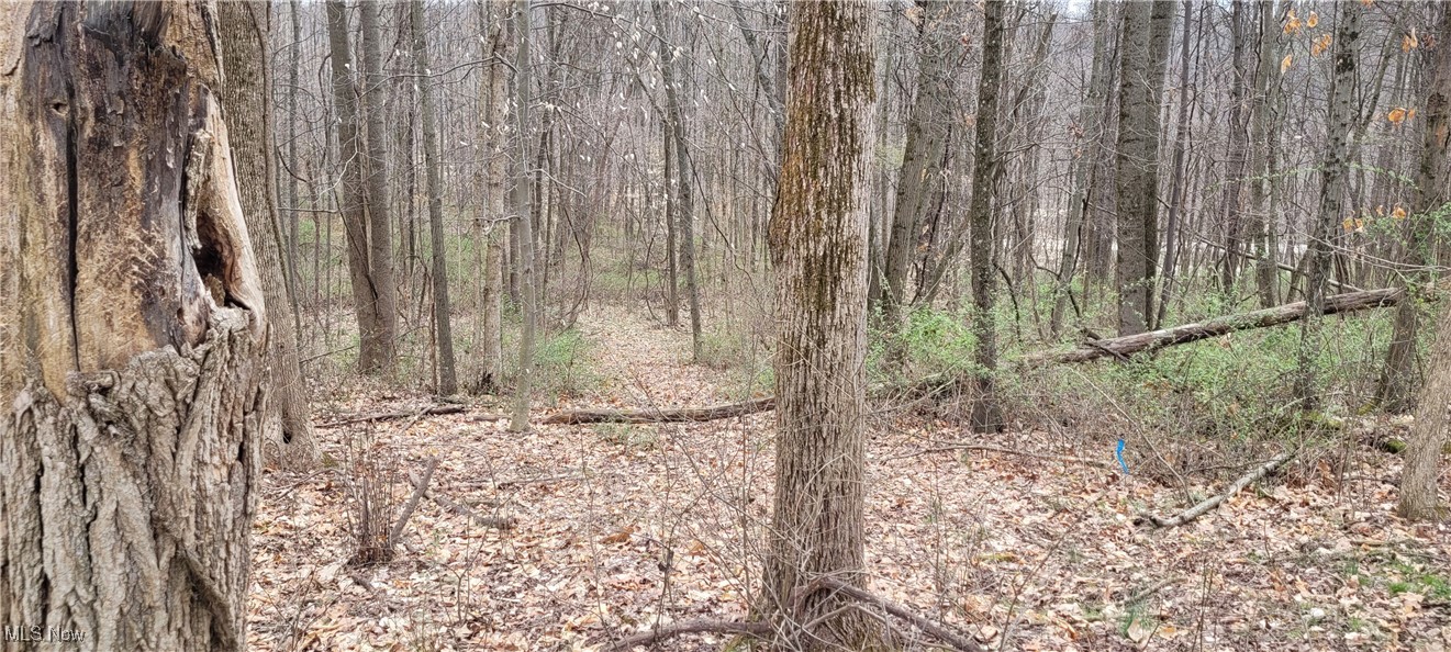 Bethel Road, Newcomerstown, Ohio image 12