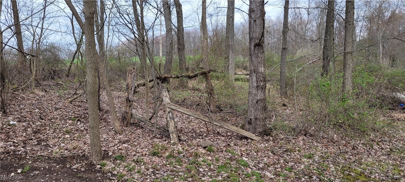 Bethel Road, Newcomerstown, Ohio image 8