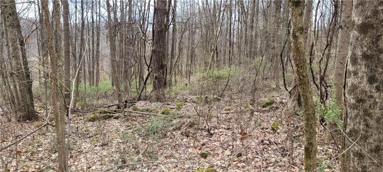 Bethel Road, Newcomerstown, Ohio image 18