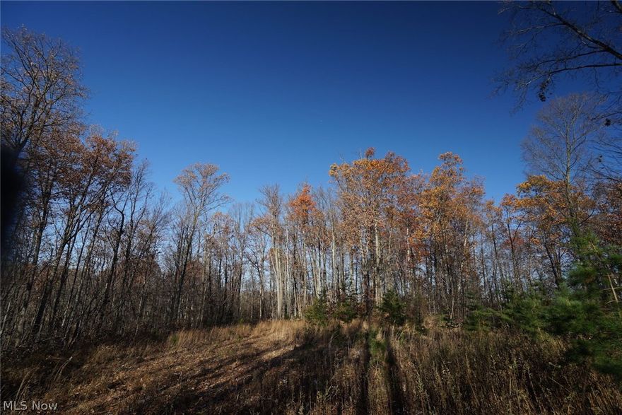 40 acres for sale in Washington County. Property borders Wayne National Forest on 3 sides. Walk-in access only through WNF. Clearing for campsite. Mostly wooded. Close to Ohio River. Seller reserves oil/gas rights.