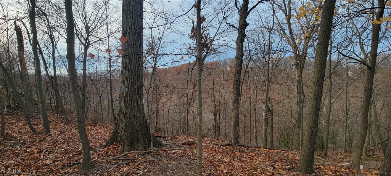 Euclid 13 - Residential