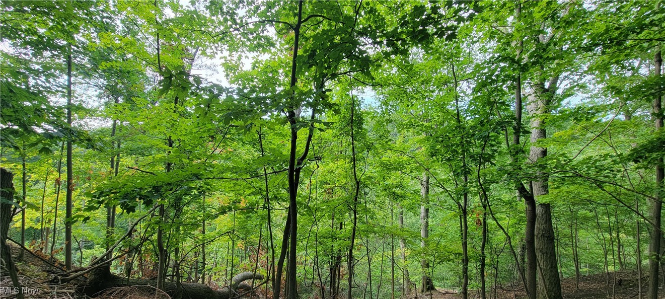 Euclid 13 - Residential