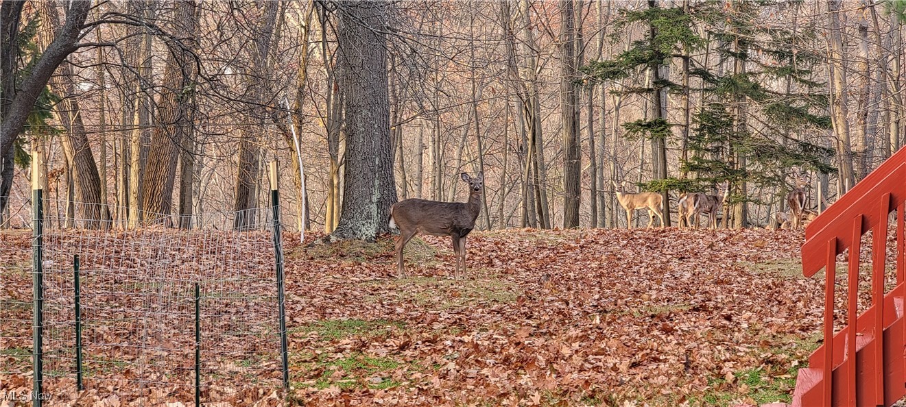 Euclid 13 - Residential