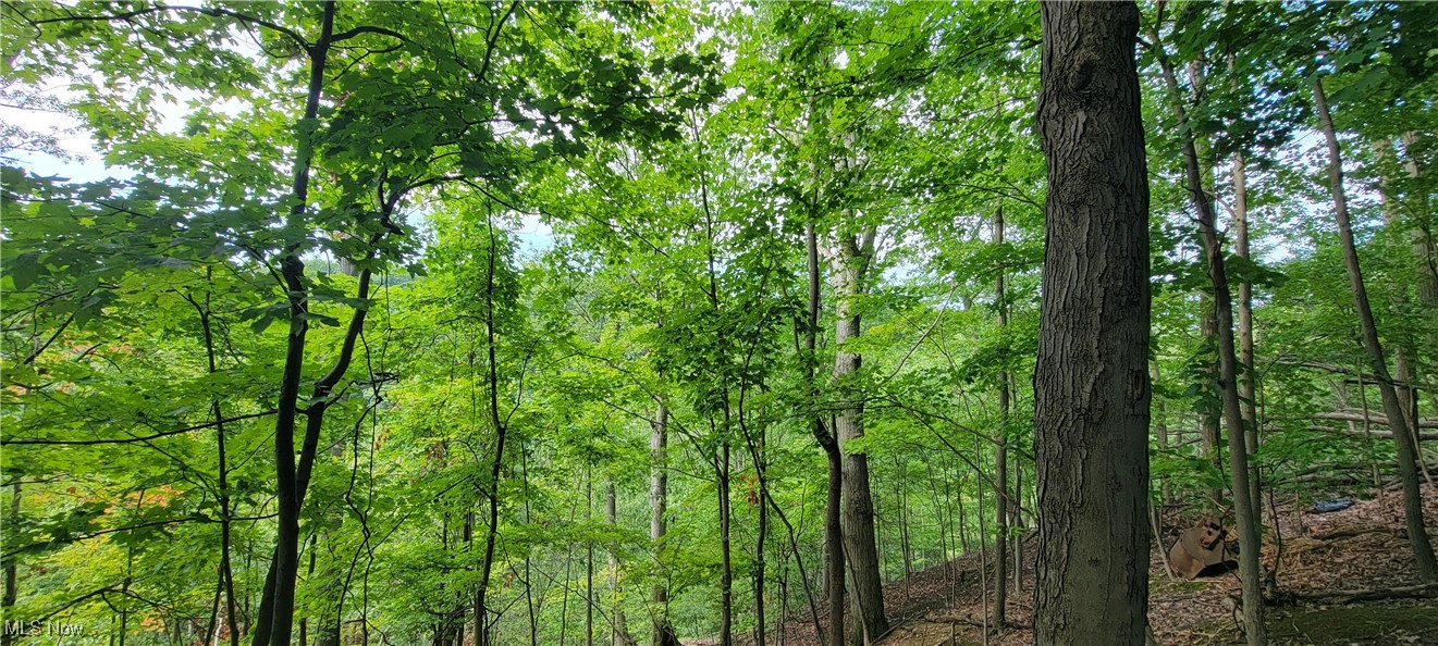 Euclid 13 - Residential