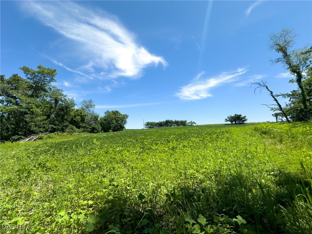 Trapp Lane, Hopewell, Ohio image 4