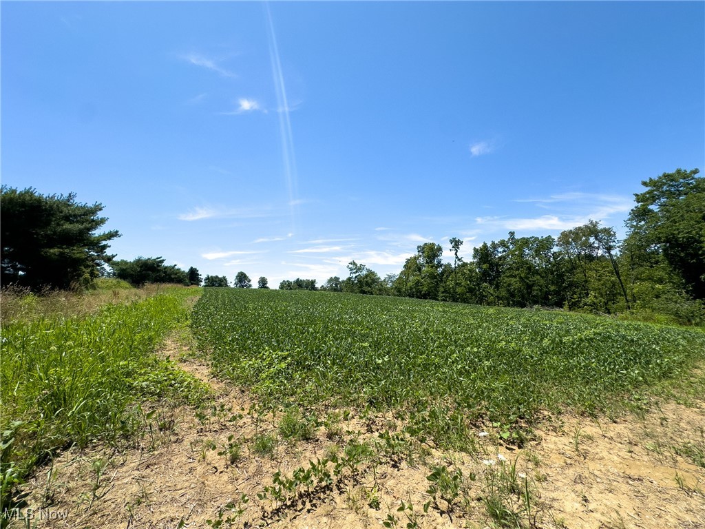 Trapp Lane, Hopewell, Ohio image 1