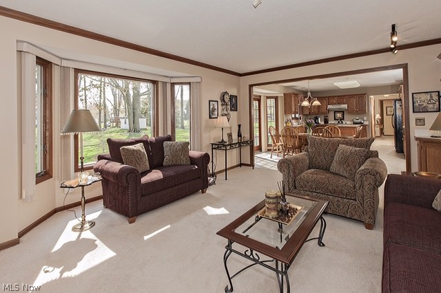 Williamsburg Estates 06b - Residential