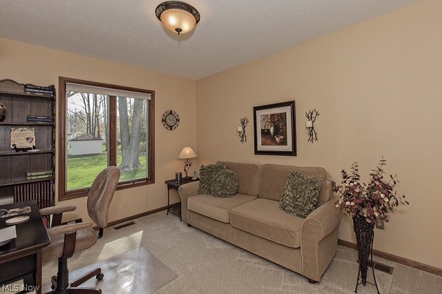 Williamsburg Estates 06b - Residential