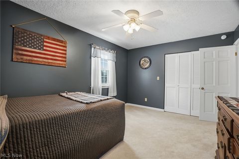 Tiny photo for 4001 Carpenter Road, Ashtabula, OH 44004 (MLS # 5210695)