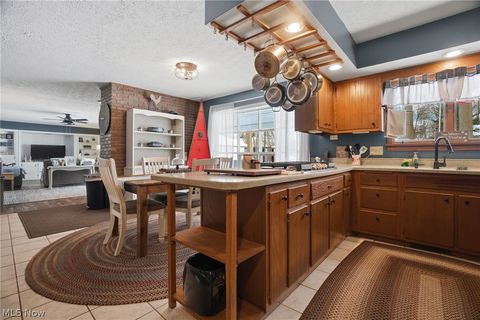 Tiny photo for 4001 Carpenter Road, Ashtabula, OH 44004 (MLS # 5210695)