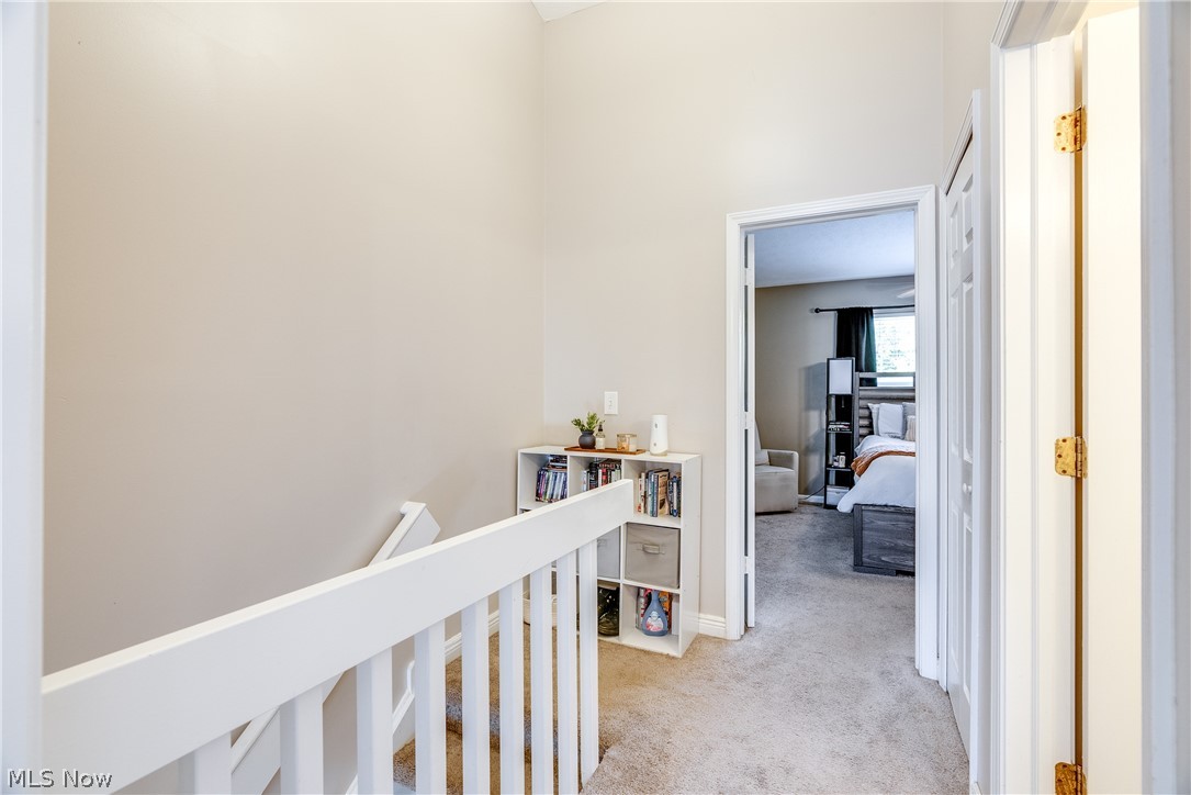 Meadows/Copley Allotment - Residential