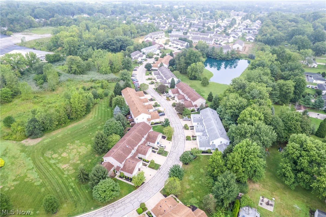 Meadows/Copley Allotment - Residential
