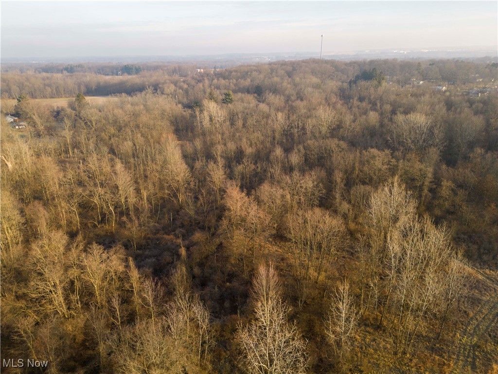 Photo of 1100 Lantz Avenue, Mansfield, OH 44906 (MLS # 5178351)