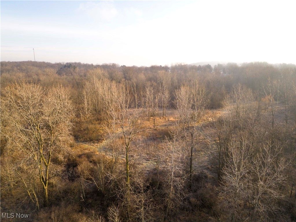 Photo of 1100 Lantz Avenue, Mansfield, OH 44906 (MLS # 5178351)