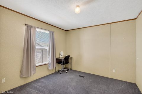 Tiny photo for 9525 Woodworth Road #A19, North Lima, OH 44452 (MLS # 5210408)