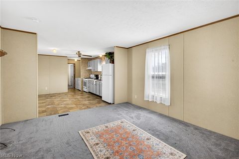 Tiny photo for 9525 Woodworth Road #A19, North Lima, OH 44452 (MLS # 5210408)
