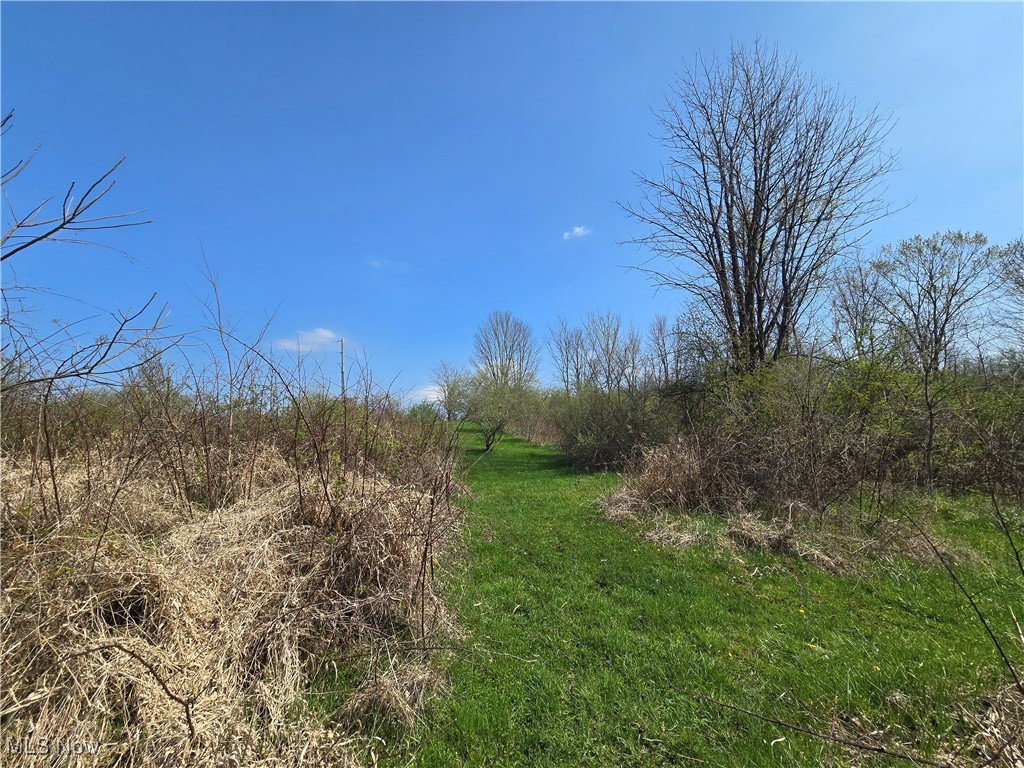 24975 Township Road 444, Warsaw, Ohio image 3
