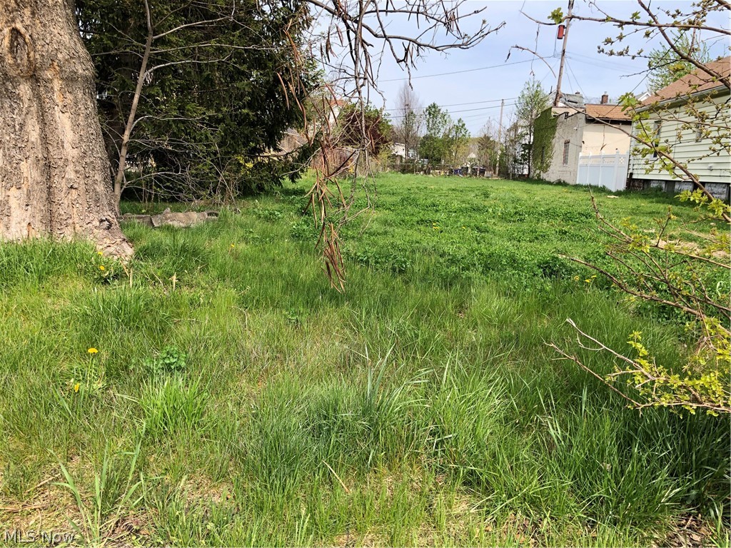 Charles G Sommer & W B Wintert - Land