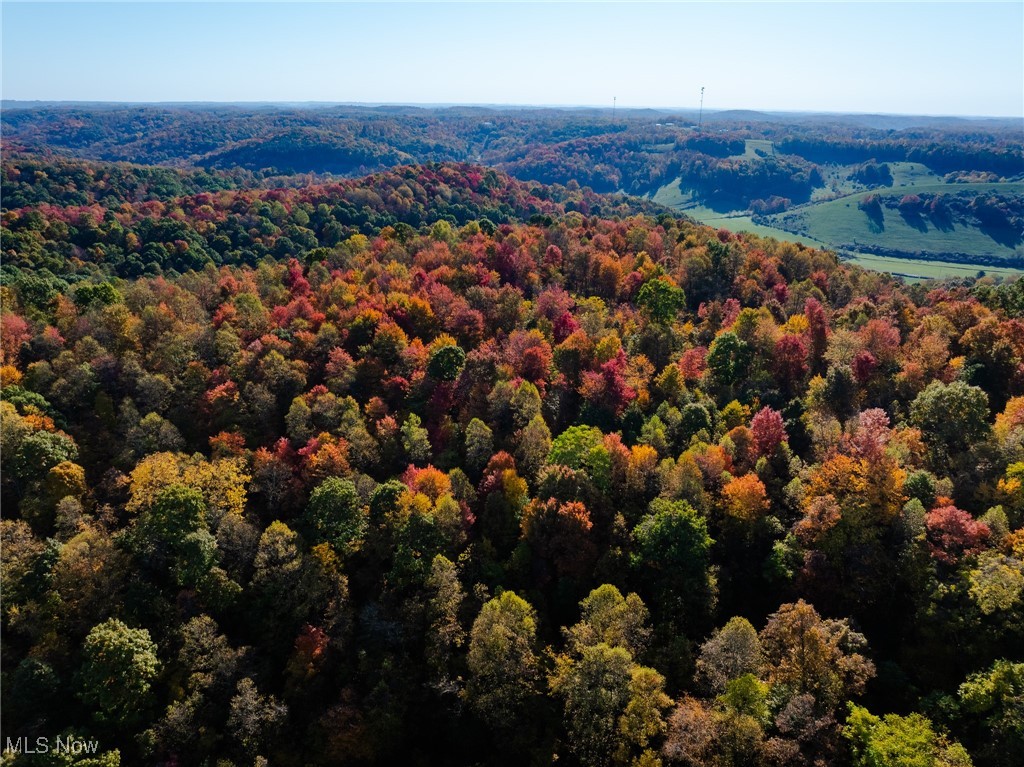 Kedigh Hollow Road, Newcomerstown, Ohio image 8